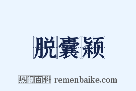 脱囊颖是什么意思的图片